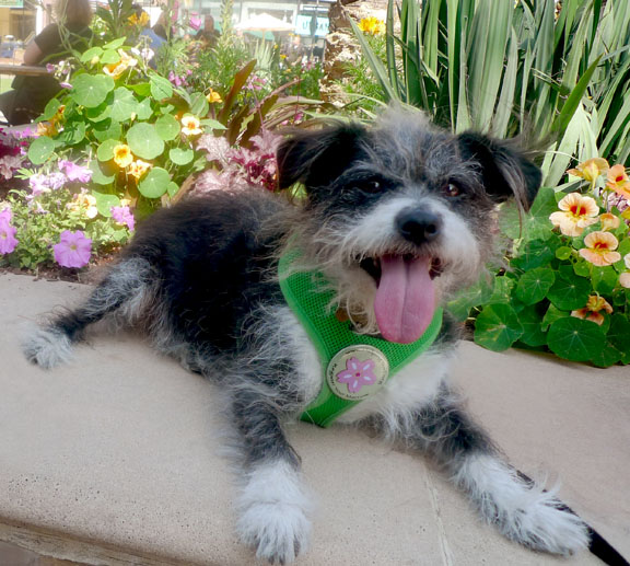 Kitai wears a button.